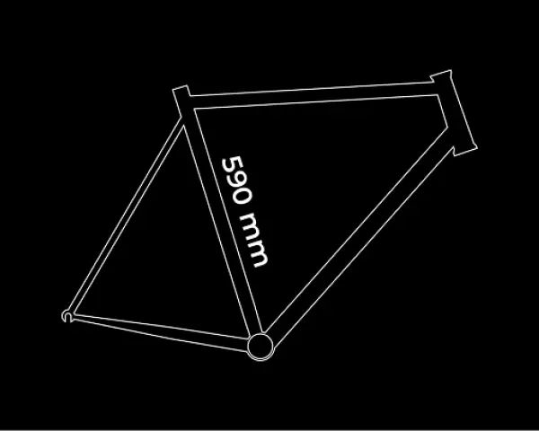 Frame size: L Frame size: L