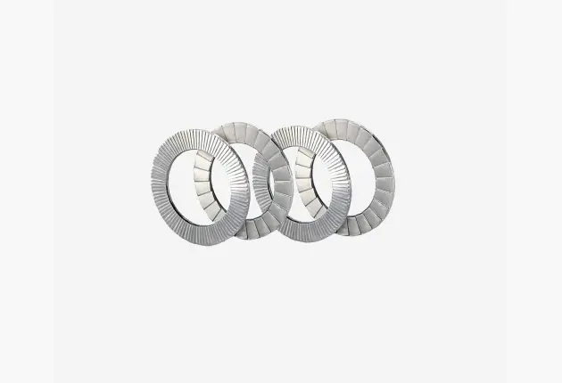 Rohloff - Nord-lock® washers (4x) (8574)